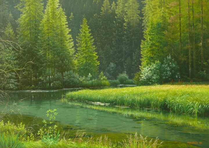 Pintura titulada "Forgotten pond" por Emil Mlynarcik, Obra de arte original, Oleo Montado en Bastidor de camilla de madera