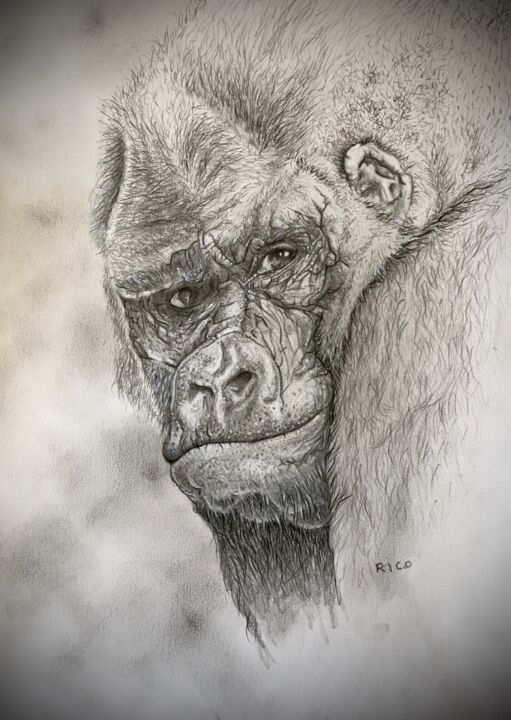 Dibujo titulada "Gorille #1 - dessin…" por Eric Leroy (Rico), Obra de arte original, Grafito
