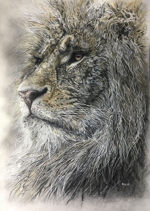 Tekening getiteld "Lion - graphite - h…" door Eric Leroy (Rico), Origineel Kunstwerk, Grafiet