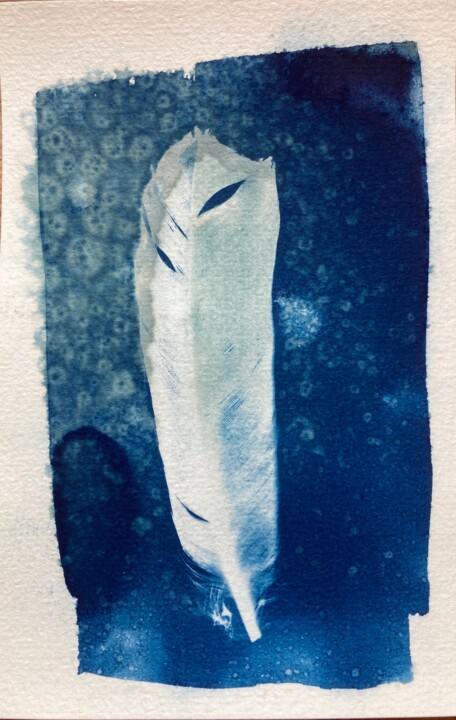 Fotografia intitolato "cyanotype de plume…" da Erick Philippe (eikioo), Opera d'arte originale, Fotografia non manipolata