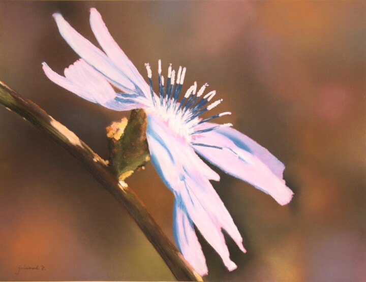 Dessin intitulée "Bleuet" par Etienne Guérinaud, Œuvre d'art originale, Pastel Monté sur Carton