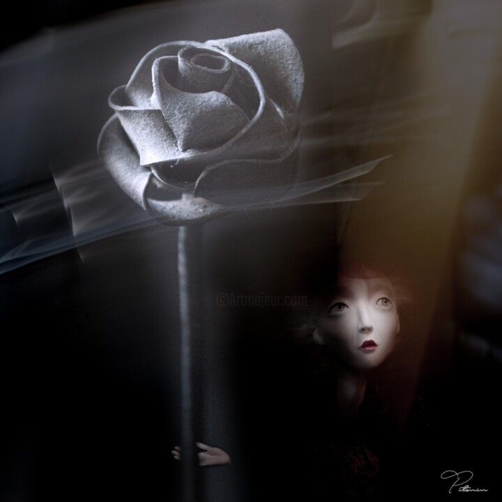 摄影 标题为“Steel rose” 由Eugene Pitenin, 原创艺术品, 操纵摄影