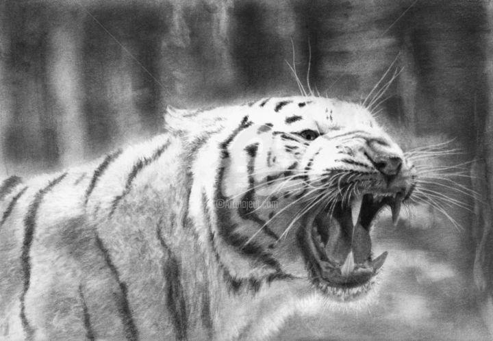 Rysunek zatytułowany „White Tiger” autorstwa Евгений Фил, Oryginalna praca, Grafit