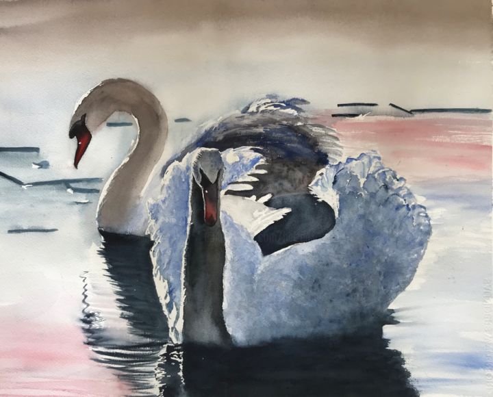 Painting titled "Swan" by Ewa Helzen, Original Artwork, Watercolor