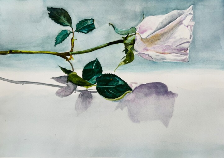Painting titled "One rose with shadow" by Ewa Helzen, Original Artwork, Watercolor