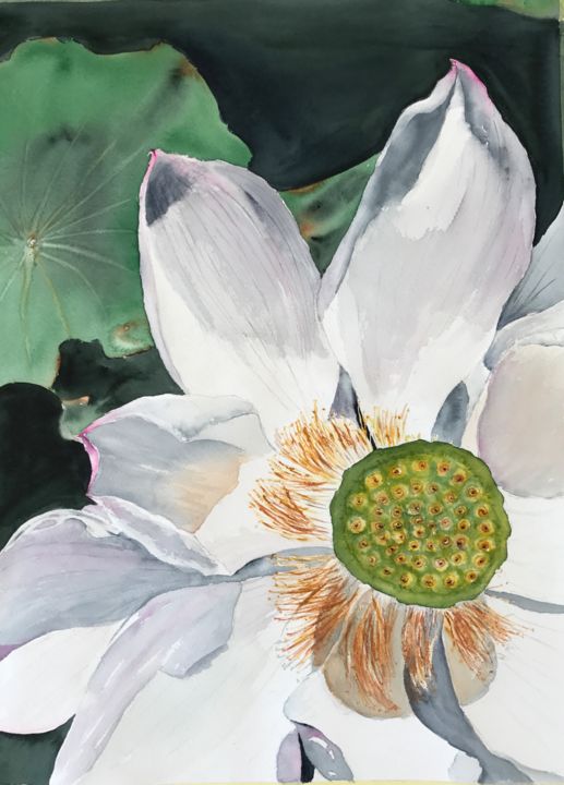 Malerei mit dem Titel "Lotus flower" von Ewa Helzen, Original-Kunstwerk, Aquarell