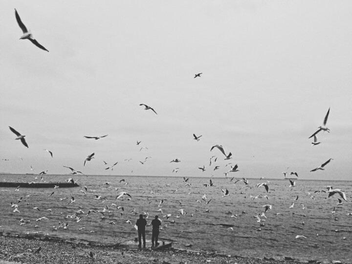 Fotografia zatytułowany „Birds” autorstwa Eyup Ersin, Oryginalna praca