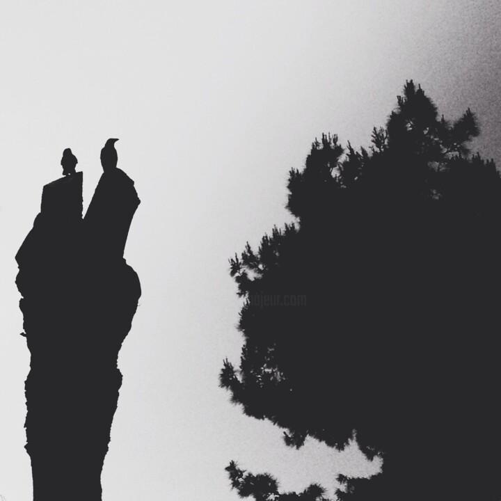 Photographie intitulée "Ravens" par Eyup Ersin, Œuvre d'art originale