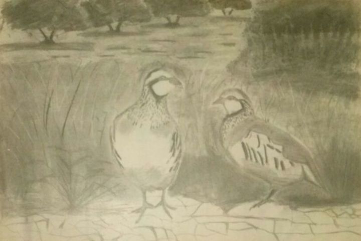 Dibujo titulada "perdices.jpg" por Francisco Blanquez, Obra de arte original, Carbón