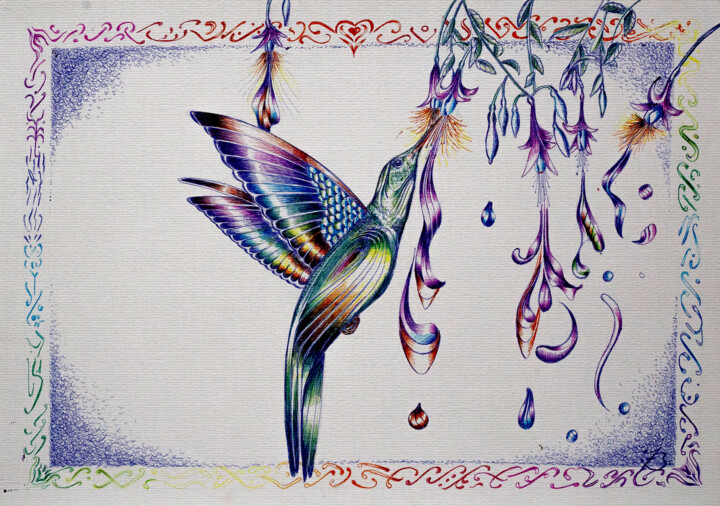 Painting titled "Colibri" by Fernando Bressan, Original Artwork, Ink