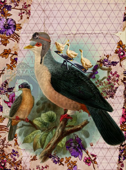 Arte digital titulada "Cool Birds" por F - Graphi̇, Obra de arte original, Foto-montaje