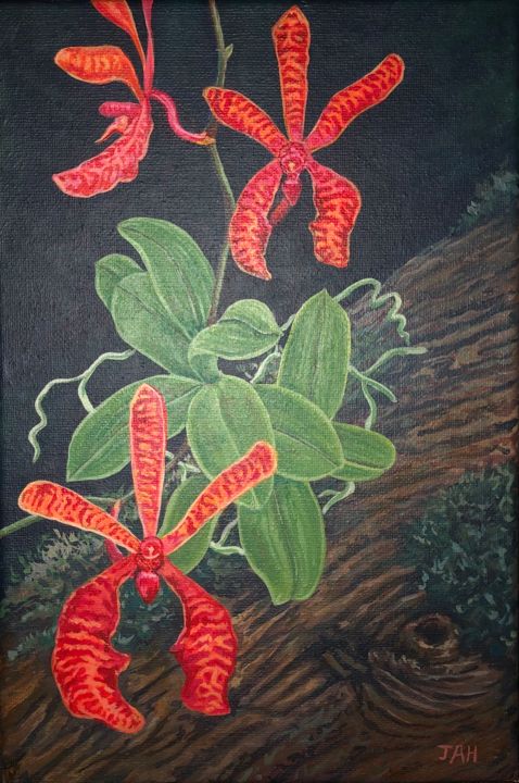 Schilderij getiteld "Orquídea de fuego" door Francis Gabriel Garofalo Freire, Origineel Kunstwerk, Acryl