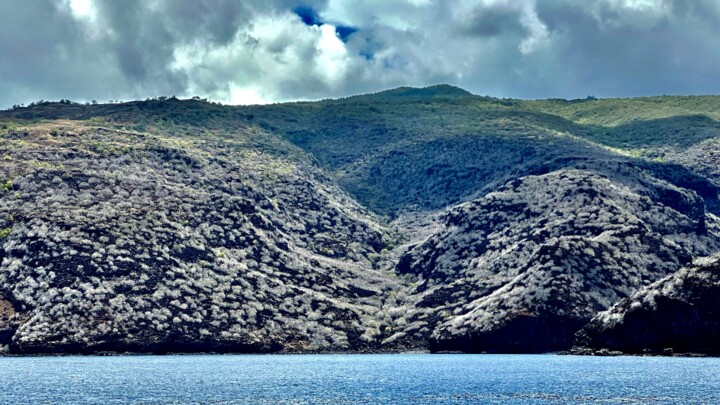 "terre déserte" başlıklı Fotoğraf François Carage tarafından, Orijinal sanat, Fotoşopsuz fotoğraf