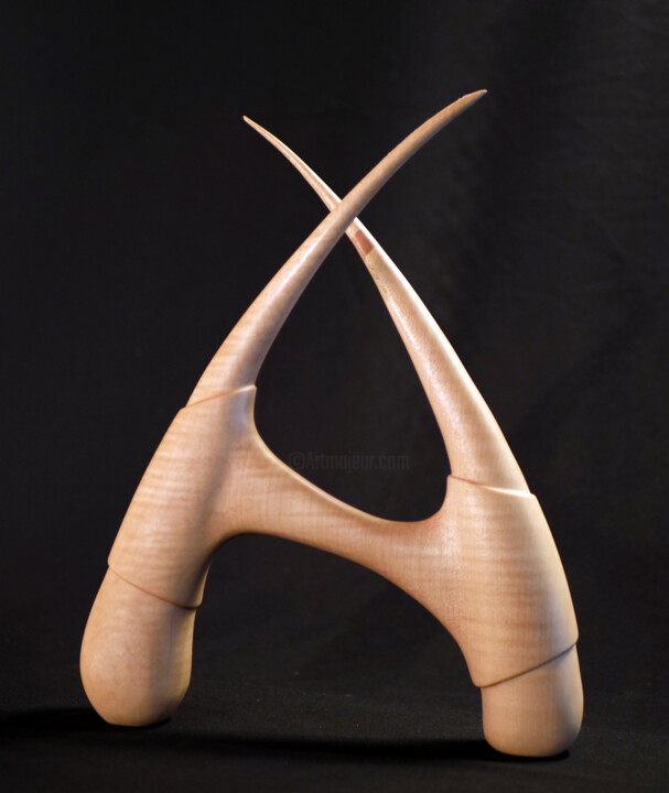 Sculpture titled "A" by Frank Dreyer, Original Artwork, Wood