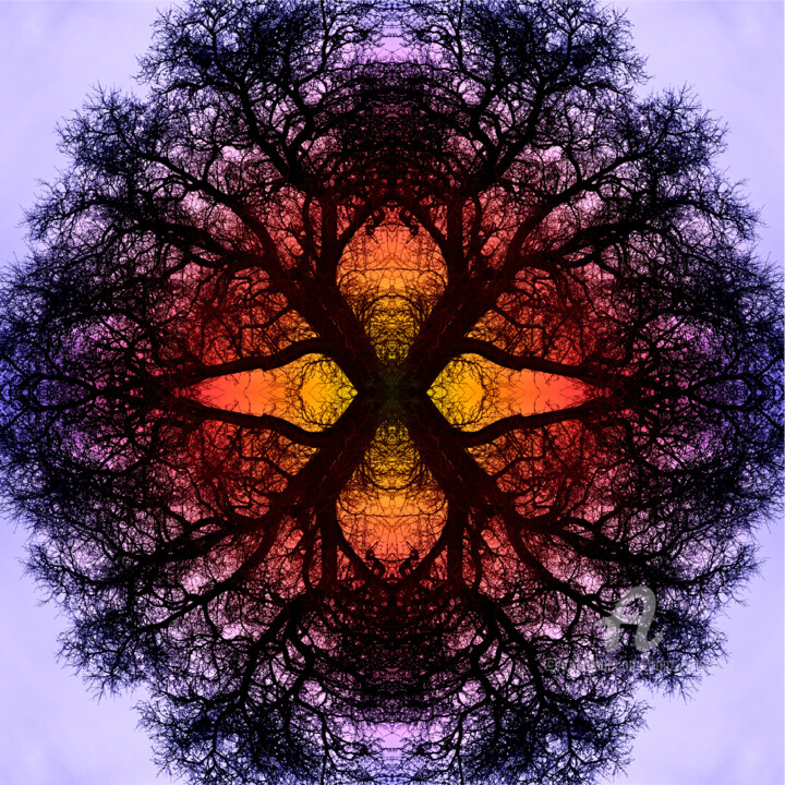 Photography titled "Mandala # 5" by Franz Hümpfner, Original Artwork, Digital Photography Mounted on Aluminium