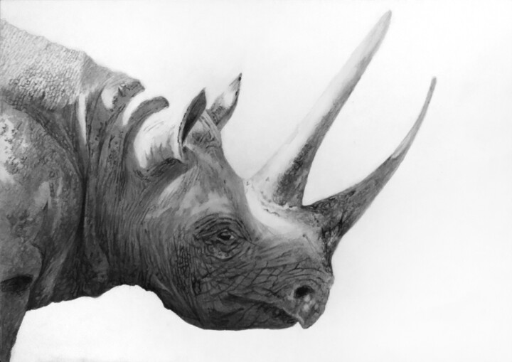 Arte textil titulada "Black rhino - 2 , q…" por Franzart, Obra de arte original, Lápiz