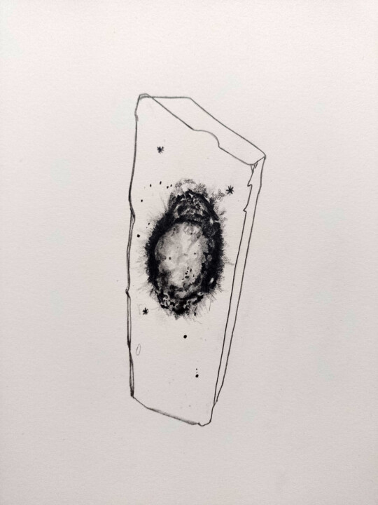 Dibujo titulada "fossile d'étoile 2" por Frédérique Lanquetin, Obra de arte original, Lápiz