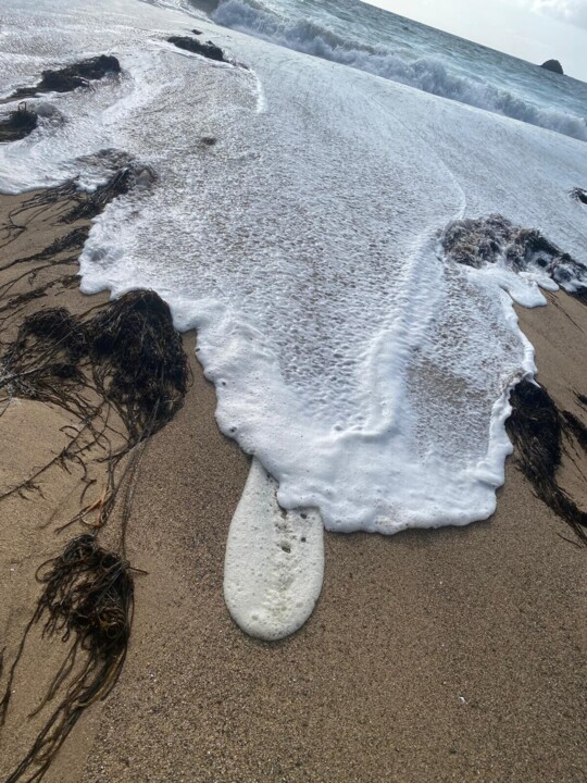 Oeuvre en situation