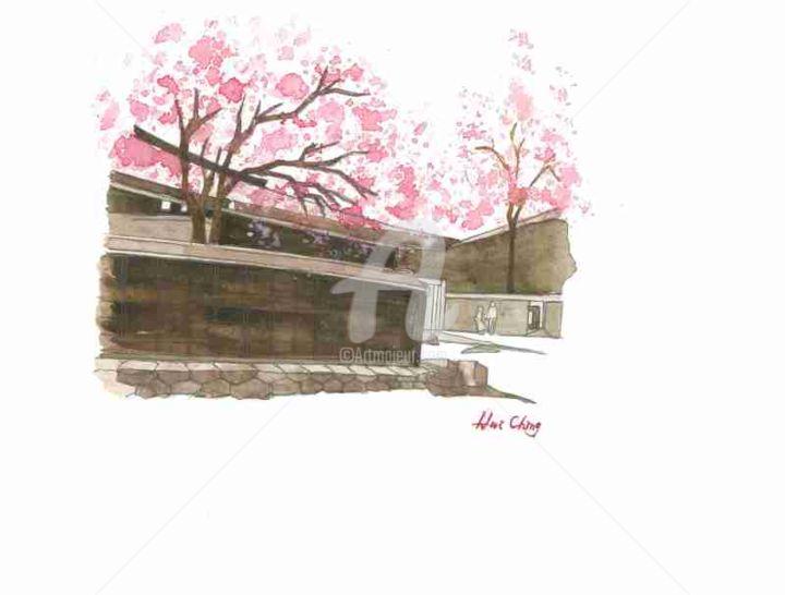 Schilderij getiteld "Sakura in Japan" door Hui Ching Hsu, Origineel Kunstwerk, Aquarel