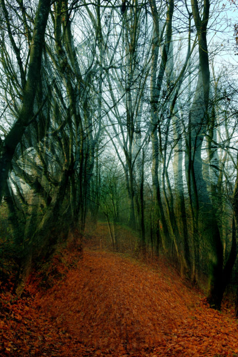 Photographie intitulée "P5-63" par Gabriel Cotelle, Œuvre d'art originale, Photographie numérique