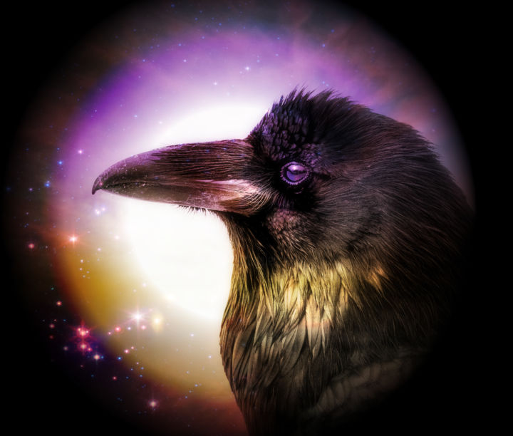Photographie intitulée "The Raven Understan…" par Gareth P Jones, Œuvre d'art originale, Photographie numérique