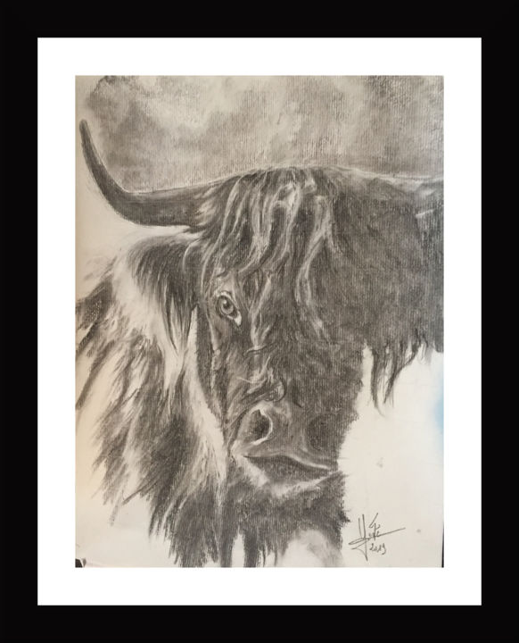 Desenho intitulada "vache ecossaise" por Georges Godé, Obras de arte originais, Carvão