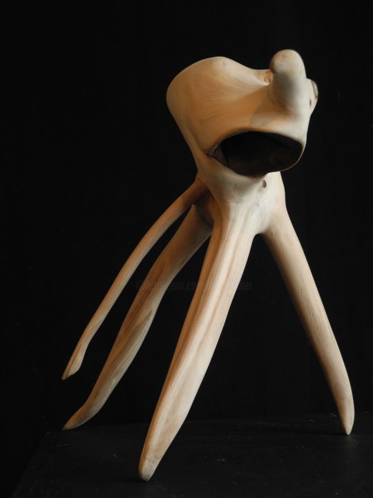 Sculpture titled "TILLEUL 1" by Gérard Didier, Original Artwork, Wood