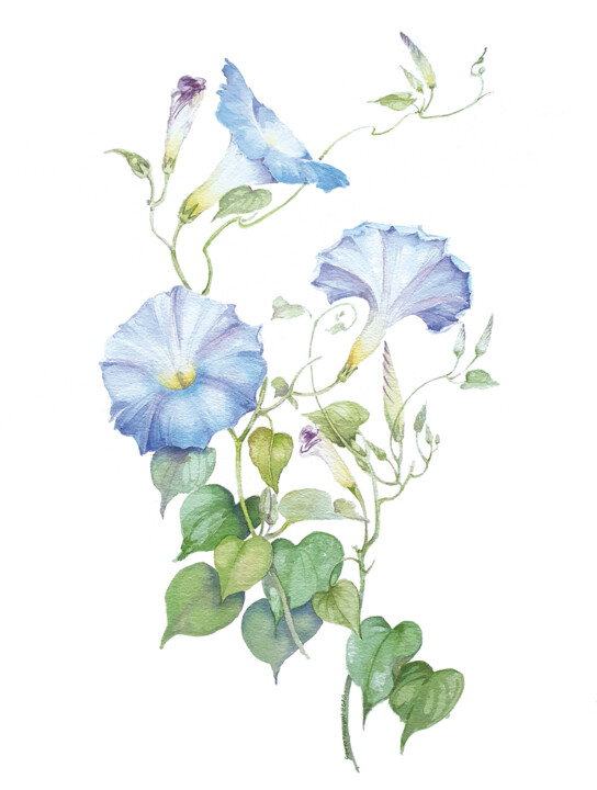 Ζωγραφική με τίτλο "Ipomea azzurro cielo" από Gianna Tuninetti Lady Of Watercolors, Αυθεντικά έργα τέχνης, Ακουαρέλα