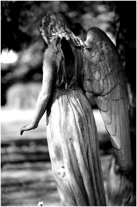 fallen angel photography
