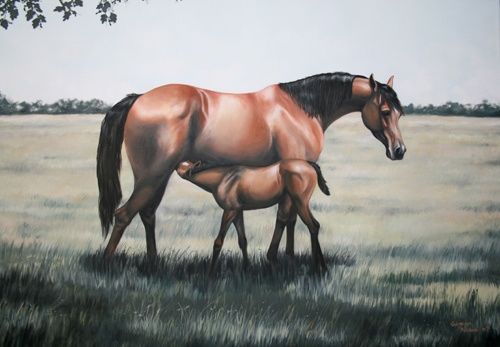 Pittura intitolato "mare and foal" da Gimena Ferrari, Opera d'arte originale