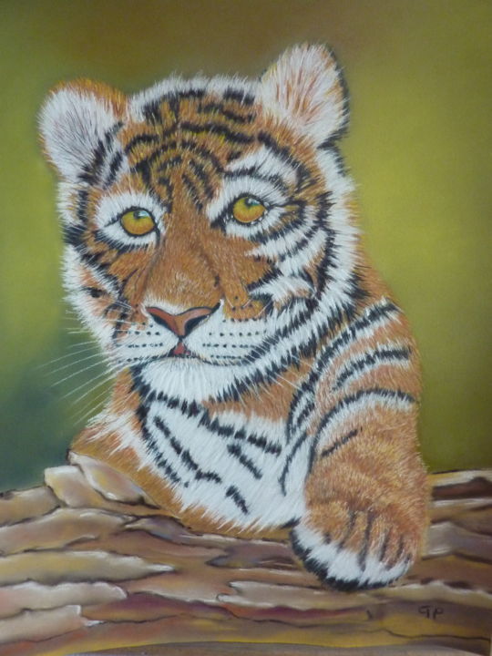 Рисунок под названием "shangaï bébé tigre" - Gisele Perron, Подлинное произведение искусства, Пастель