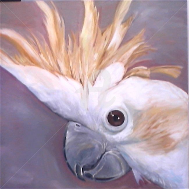Malerei mit dem Titel "White Cockatoo2" von Glenda Fell Jones, Original-Kunstwerk, Öl