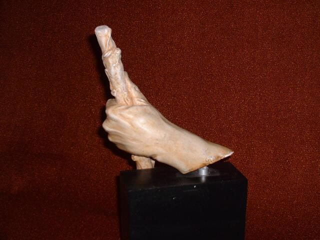 Skulptur mit dem Titel "Hand of Arron" von Gloria Morris, Original-Kunstwerk
