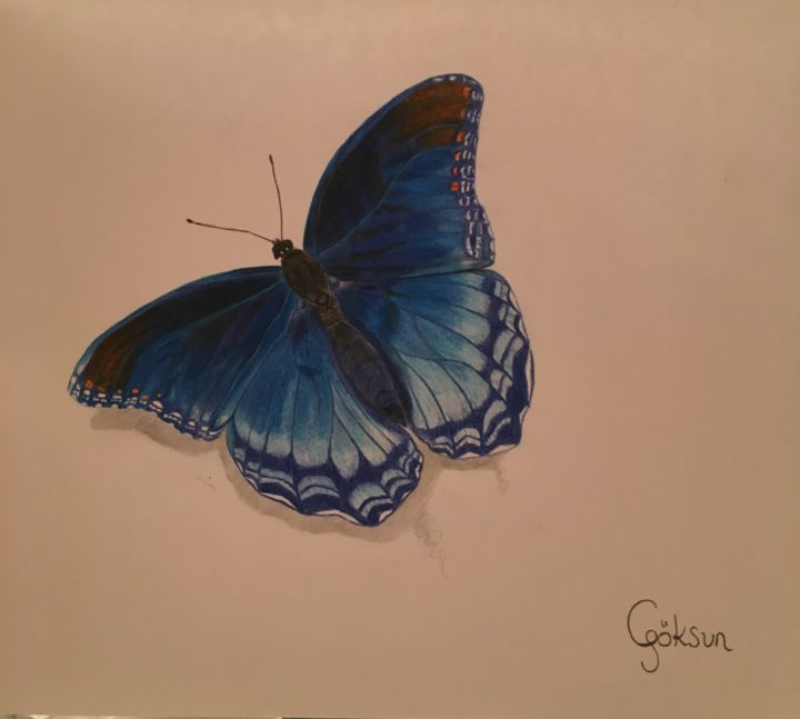 Drawing titled "Butterfly" by Goksun Cilingir, Original Artwork, Charcoal