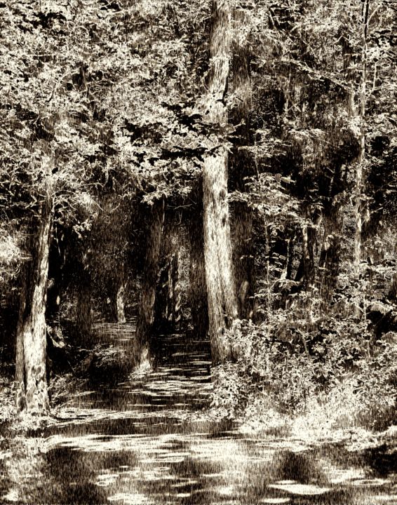 Arte digitale intitolato "Woodcut Forest" da Gracey, Opera d'arte originale, Altro