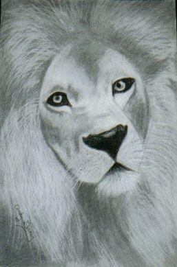 图画 标题为“Lion #1” 由Cindy Gray, 原创艺术品, 其他