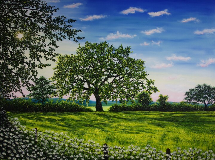 Painting titled "A Summer Morning" by Hazel Thomson, Original Artwork, Oil Mounted on Wood Stretcher frame