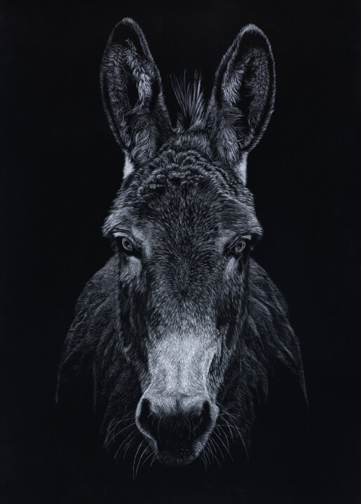 Painting titled "Dont be an Ass, be…" by Helen Coulter, Original Artwork, Scratchboard