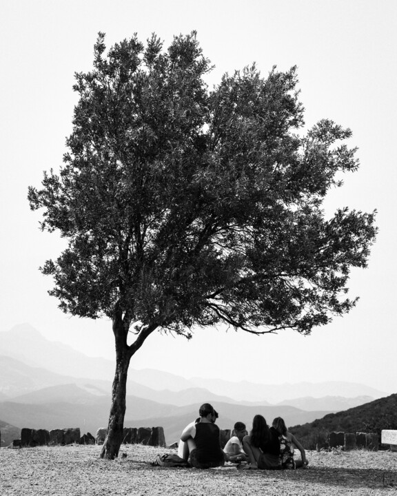 제목이 "PICNIC UNDER A TREE"인 사진 Hélène Le Goff로, 원작, 디지털