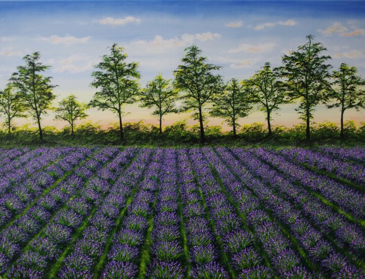 제목이 "Lavender Feild at D…"인 미술작품 Hazel Thomson로, 원작, 기름 나무 들것 프레임에 장착됨
