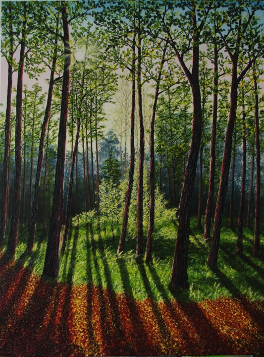 제목이 "Woodland Shadows"인 미술작품 Hazel Thomson로, 원작, 기름 나무 들것 프레임에 장착됨