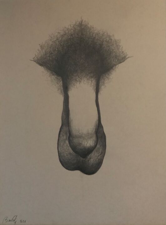 Drawing titled "Anatomie 2" by Hugo Bartoli, Original Artwork, Charcoal