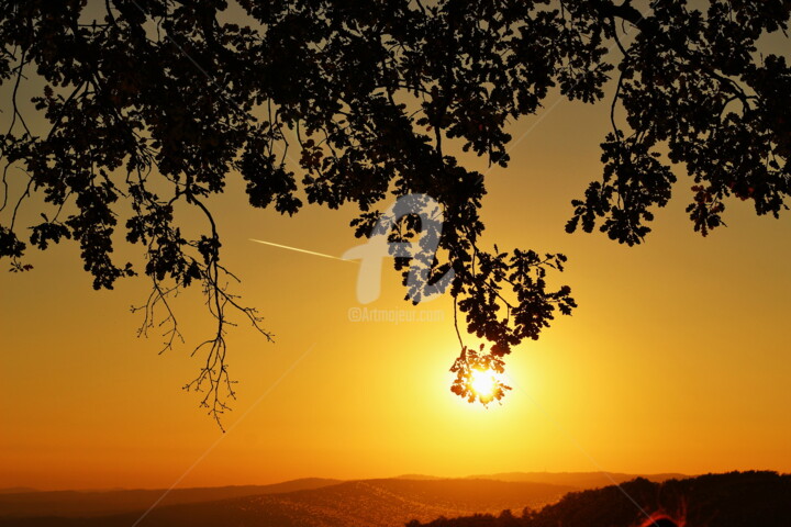 Photography titled "Tramonto in maremma" by Ilesh, Original Artwork, Digital Photography