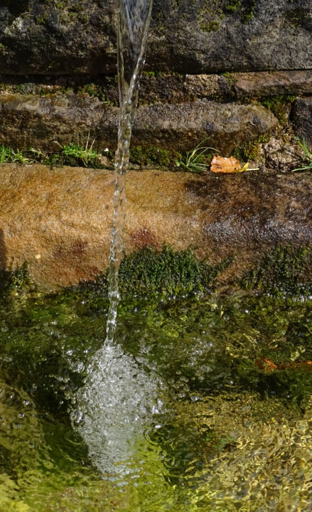 Photographie intitulée "Balade en montagne,…" par Ingrid Johann, Œuvre d'art originale, Photographie non manipulée