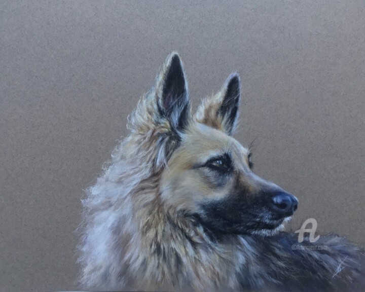 Tekening getiteld "Dog portrait" door Irene_art, Origineel Kunstwerk, Pastel