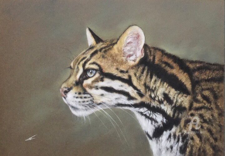 Drawing titled "Ocelot" by Irene_art, Original Artwork, Pastel