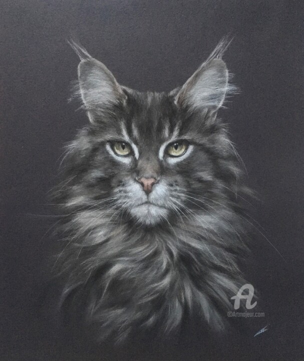 Drawing titled "Maine Coon" by Irene_art, Original Artwork, Pastel