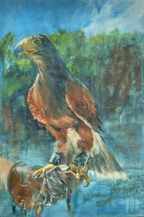 Painting titled "Harris hawk" by Iwirt, Original Artwork, Oil