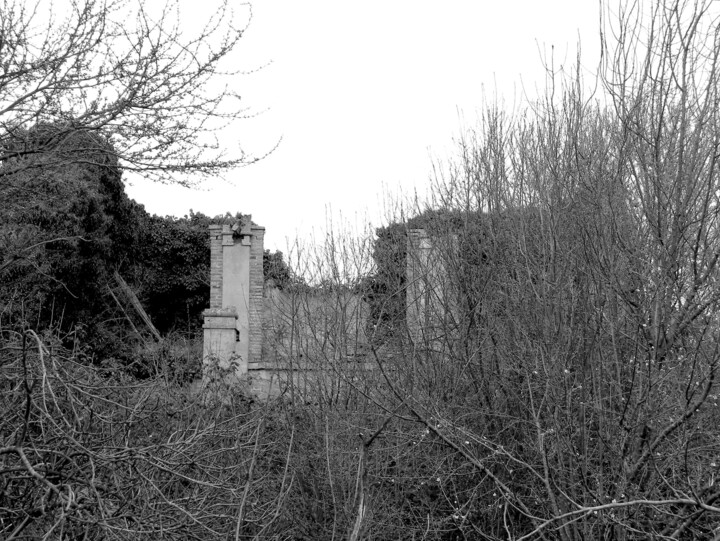 Fotografia zatytułowany „Last shelter ( Home…” autorstwa Irvin Grassi, Oryginalna praca, Fotografia cyfrowa