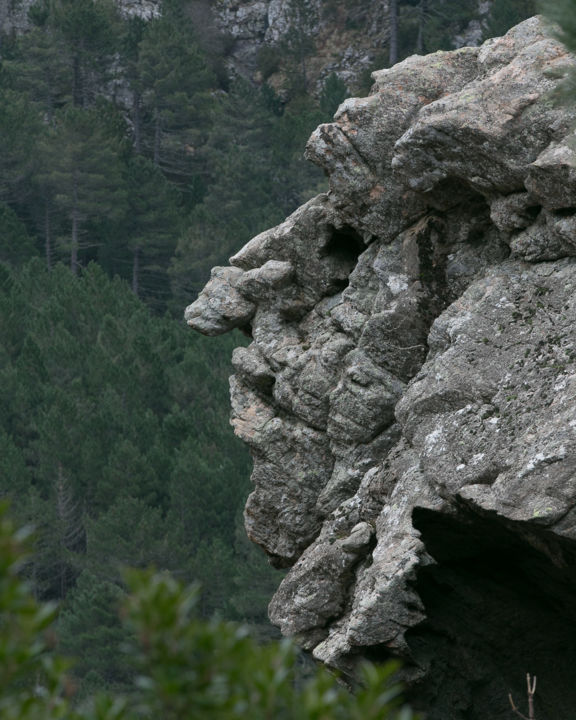 Aanvullende afbeeldingen 2